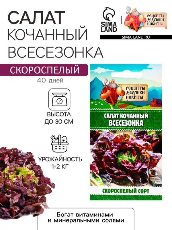 Семена Салат кочанный  Семена Салат кочанный "Всесезонка", 0,5 г