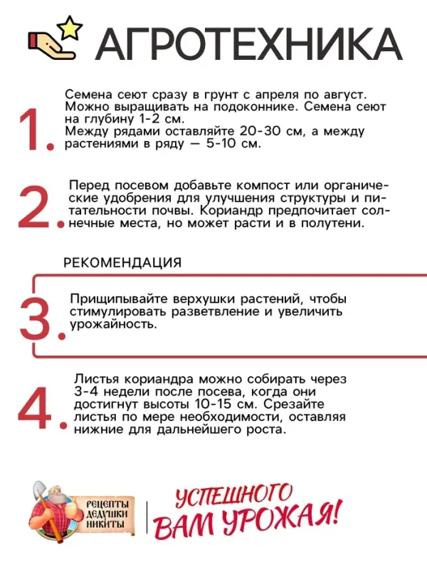 Семена Кориандр - кинза &laquo;Кин-Дза-Дза&raquo;, 2 г, &laquo;Рецепты дедушки Никиты&raquo;