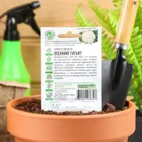 Семена Капуста цветная "Осенний гигант", ц/п, 0,1 г серия ХИТ х3 Семена Капуста цветная "Осенний гигант", ц/п, 0,1 г серия ХИТ х3