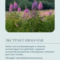 Шампунь детский с алое и маслом ши Baby Balance нежный, 250 мл