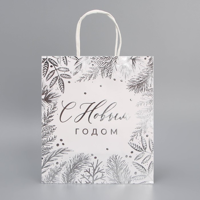 Пакет подарочный новогодний крафтовый «Серебро», 22 х 25 х 12 см, Новый год Пакет подарочный новогодний крафтовый «Серебро», 22 х 25 х 12 см, Новый год