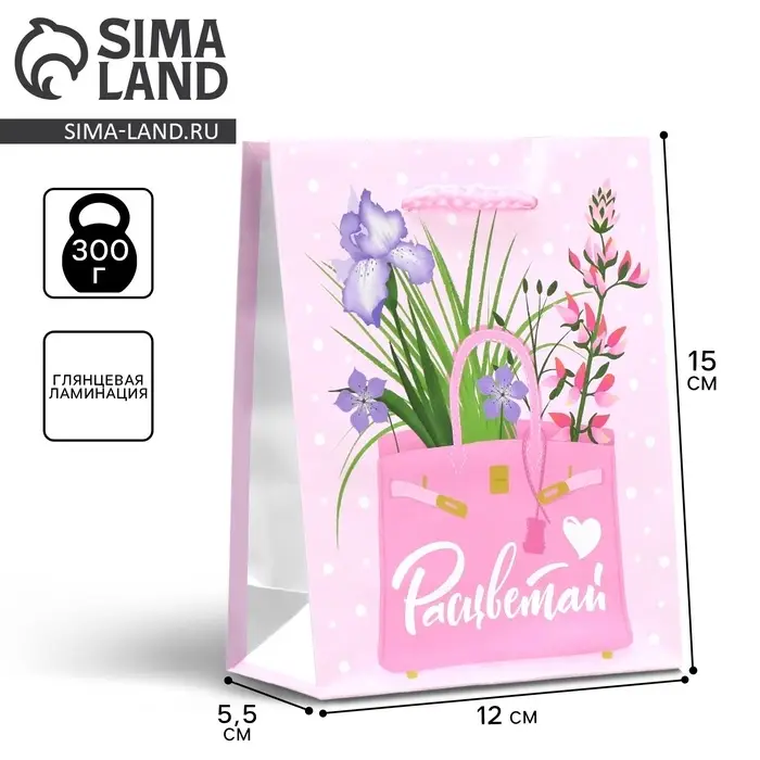 Пакет подарочный ламинированный, упаковка, «Расцветай», S 12 х 15 х 5.5 см Пакет подарочный ламинированный, упаковка, «Расцветай», S 12 х 15 х 5.5 см