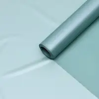 Пленка для цветов &laquo;Нежность&raquo;, пастельно-зелёный, 0.58&times;10 м