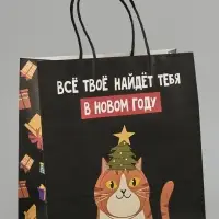 Пакет подарочный крафт &laquo;Найду новом году&raquo;, 22&times;22&times;11 см