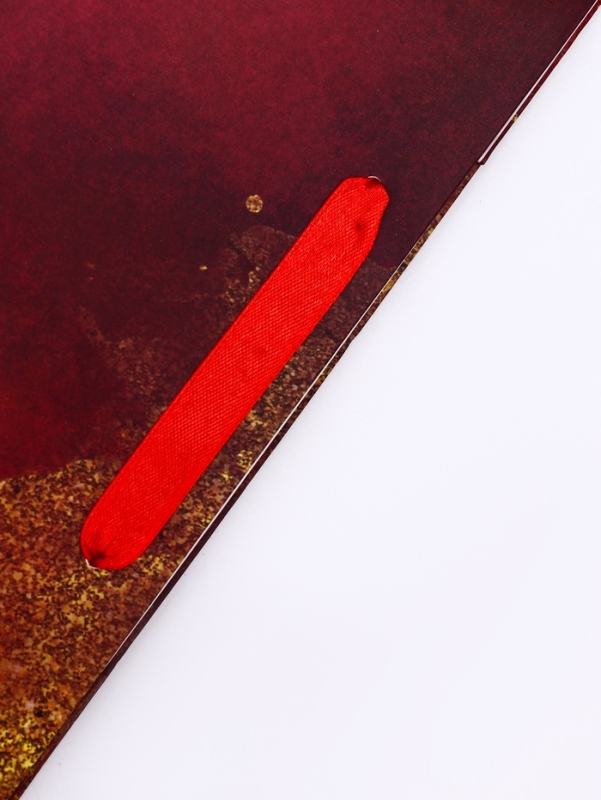 Пакет подарочный вертикальный «Красное золото»,  M 26 × 32 × 12 см