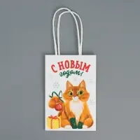 Пакет подарочный новогодний крафтовый «С Новым годом», 15 х 10 х 6 см Пакет подарочный новогодний крафтовый «С Новым годом», 15 х 10 х 6 см