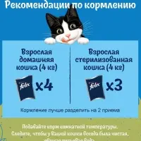 Влажный корм Felix Природа вкуса для кошек, говядина, 75 г