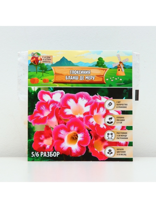 Глоксиния «Бланш де Меру», многолетник, комнатный, луковица в пакете с перфорацией, р-р 5/6, 2 шт.