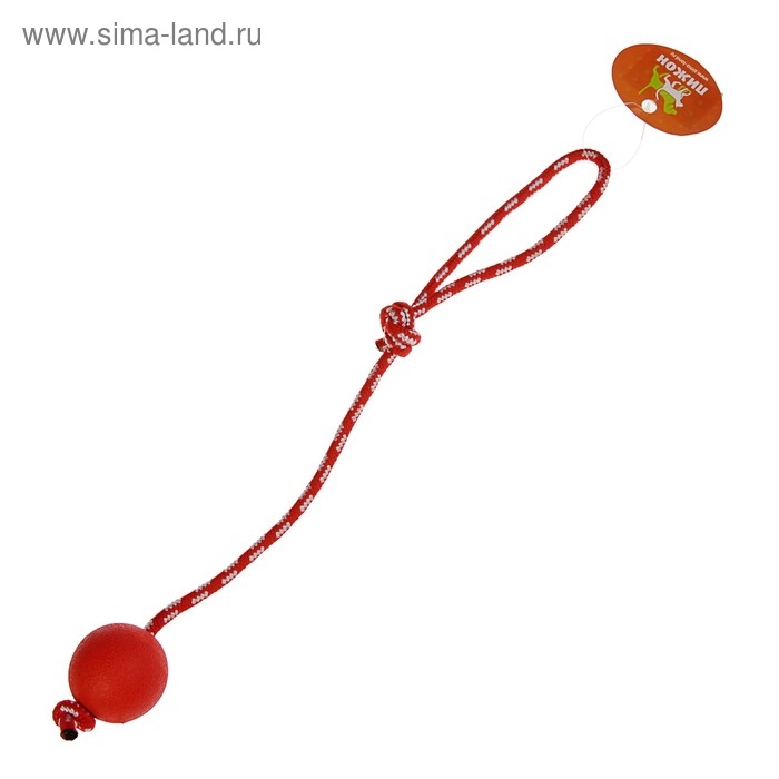 Игрушка Игрушка "Шарик на веревке", 5,5 см, каучук, микс цветов