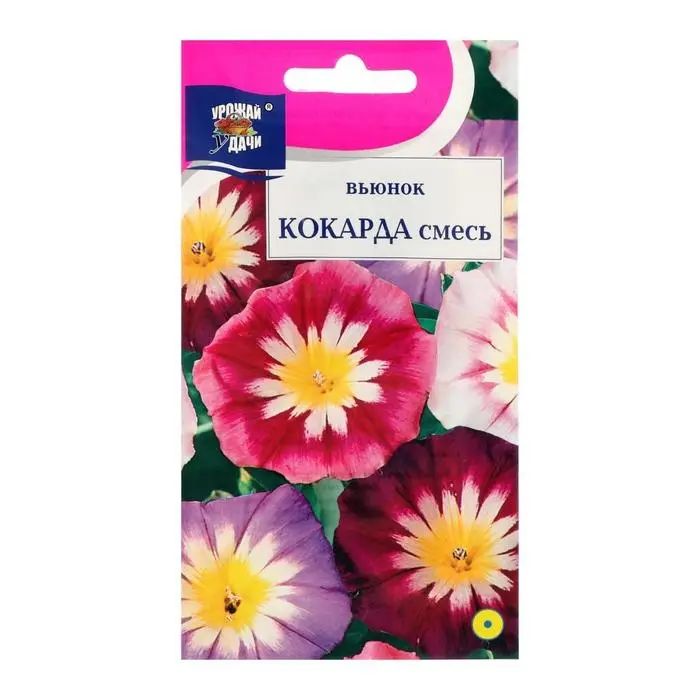 Семена цветов Цв Вьюнок кокарда Смесь,0,5 гр Семена цветов Цв Вьюнок кокарда Смесь,0,5 гр
