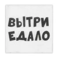 Салфетки бумажные однослойные Гармония цвета &laquo;ВыТрИ ЕдАлО&raquo;, 24&times;24 см, 100 шт.