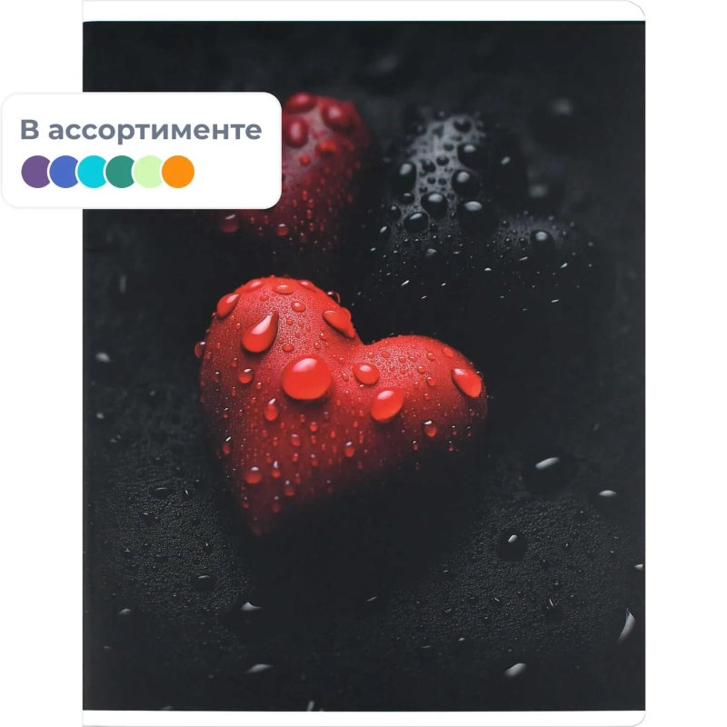 Тетрадь 48 л, клетка,  КРАСНЫЙ АКЦЕНТ А5+, в ассорт/74233
