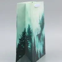 Пакет подарочный вертикальный &laquo;Подарок&raquo;, 26&times;32&times;12 см