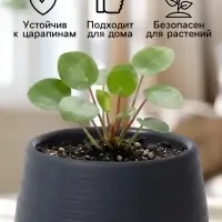 Горшок цветочный &laquo;Япония&raquo;, 450 мл, d=12 см, h=10 см, пластиковый, с поддоном, графитовый