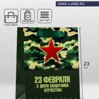 Пакет подарочный ламинированный вертикальный &laquo;23 февраля&raquo;, 18&times;23&times;10 см