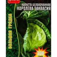 Семена цветов Капуста б/к Королева Заквасия  300шт. 12.28,29 г.