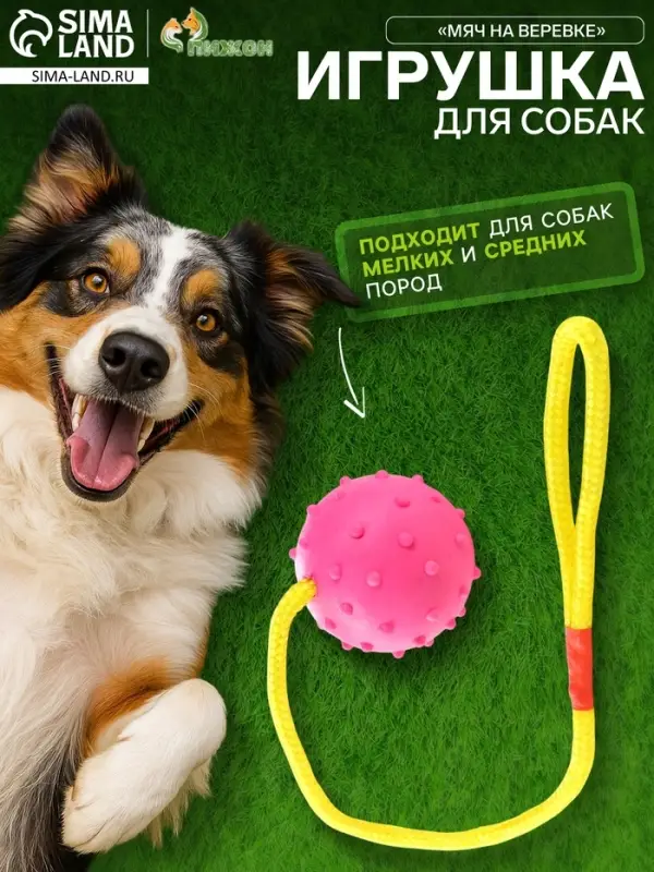 Игрушка для собак, мяч на веревке, 6 см, розовая, жёлтая