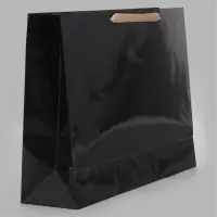 Пакет ламинированный горизонтальный, L 40&times;31&times;11.5 см, чёрный
