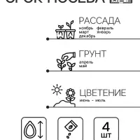 Семена комнатных цветов Бегония клубневая &laquo;Фортун Дип Ред&raquo;, F1, 4 шт., &laquo;Семена Алтая&raquo;