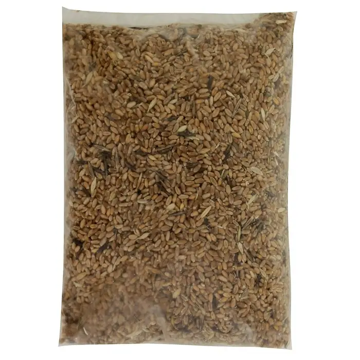 Семена Пшеница  Семена Пшеница "Поспелов", 1 кг