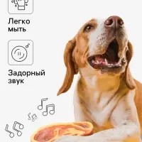 Игрушка для собак &laquo;Стейк с кровью&raquo;, 10.5 см, пищащая, винил, цвет МИКС