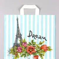 Пакет &laquo;За мечтой&raquo;, полиэтиленовый с петлевой ручкой, 38&times;34 + 3 см, 70 мкм