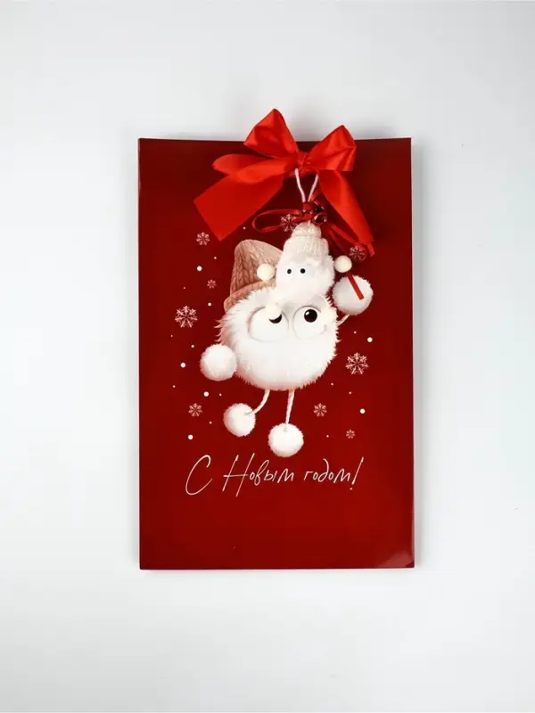 Пакет подарочный «Новогодний сюрприз», с заколками, 25,5 × 9 × 30 см Пакет подарочный «Новогодний сюрприз», с заколками, 25,5 × 9 × 30 см