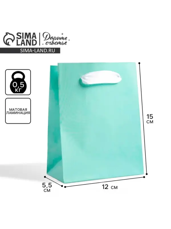 Пакет подарочный, упаковка, «Мятный», 12 х 15 х 5.5