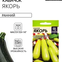 Семена Кабачок &laquo;Якорь&raquo;, 2 г, &laquo;Семена Алтая&raquo;