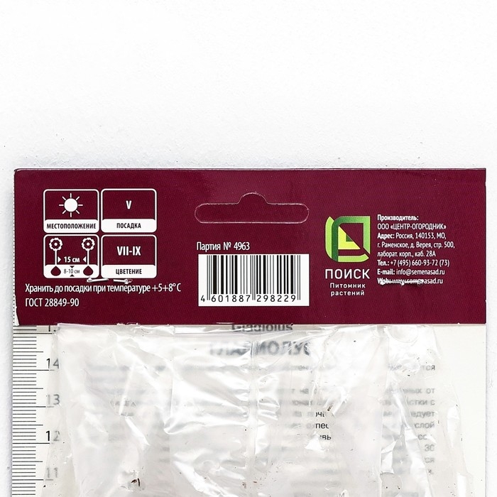 Гладиолус крупноцветковый «Кум Сьюс»,луковица цветов в пакете с перфорацией, р-р 10/12, 10 шт.