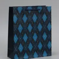 Пакет подарочный ламинированный, упаковка, &laquo;Клетка&raquo;, ML 21&times;25&times;8 см