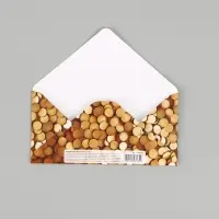 Конверт для денег &laquo;Успехов&raquo;, тиснение 16.5 &times; 8 см