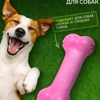 Жевательная игрушка для собак &laquo;Вкусная кость&raquo;, 11 см, с отверстиями для лакомств, TPR, розовая