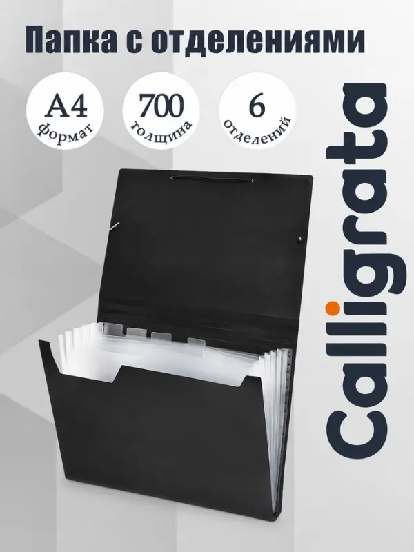 Папка картотека А4, Calligrata, 6 отделений, пластиковая, 700 мкм, чёрная