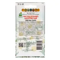 Семена цветов Чистец шерстистый «Овечьи ушки», 0.1 г