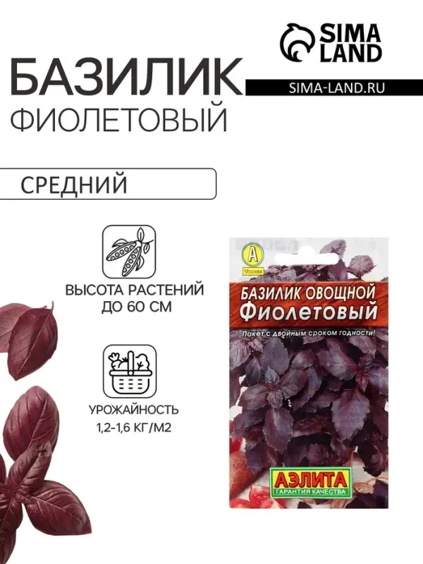Семена Базилик овощной &laquo;Фиолетовый&raquo;, пряность, 0.2 г, &laquo;Аэлита&raquo;