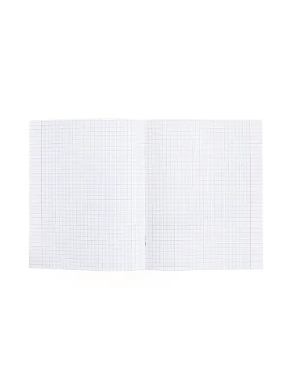 Предметная тетрадь по географии Hatber &laquo;Буквица&raquo;, 48 листов, в клетку, со справочным материалом, обложка из мелованного картона