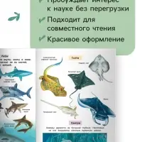 Лучшая энциклопедия для детей, 128 стр.