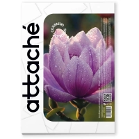 Фотобумага для цветн.струйн.печати (А4, 180г, глянцевая) пачка 50л
