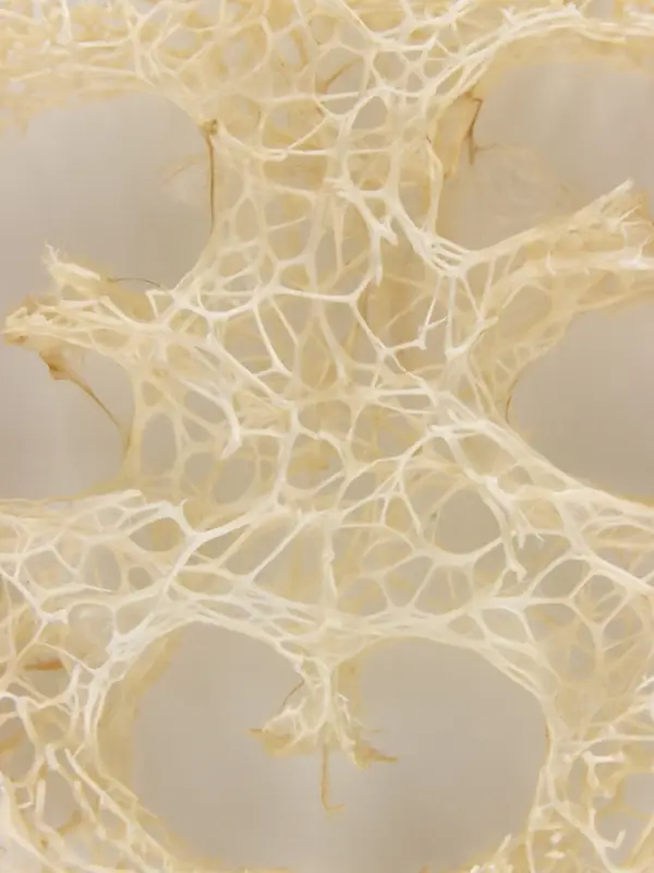 Игрушка-погрызушка из люффы 4-5 см, натуральная Игрушка-погрызушка из люффы 4-5 см, натуральная