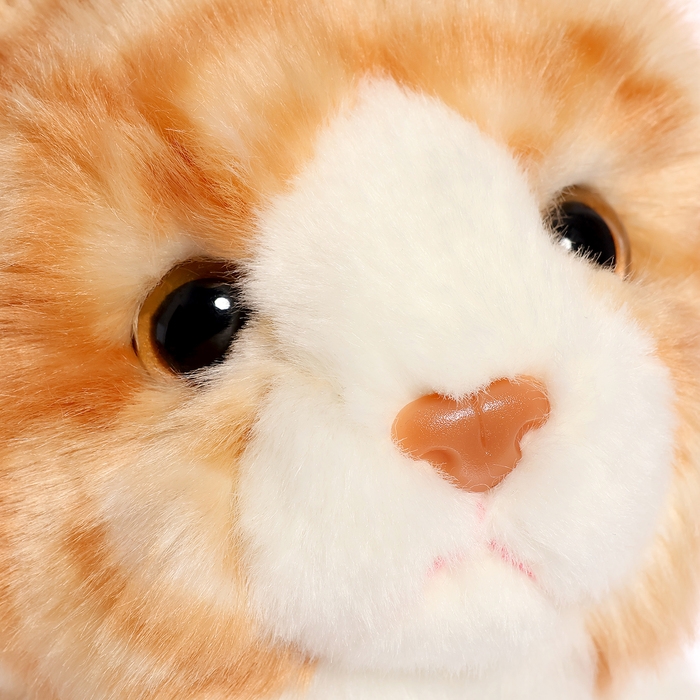 Мягкая игрушка «Котик рыжий полосатый» сидячий, 25 см Мягкая игрушка «Котик рыжий полосатый» сидячий, 25 см
