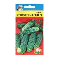 Семена Огурец "ВЕЛИКОЛЕПНЫЙ ГОША F1", 0,3 г Семена Огурец "ВЕЛИКОЛЕПНЫЙ ГОША F1", 0,3 г