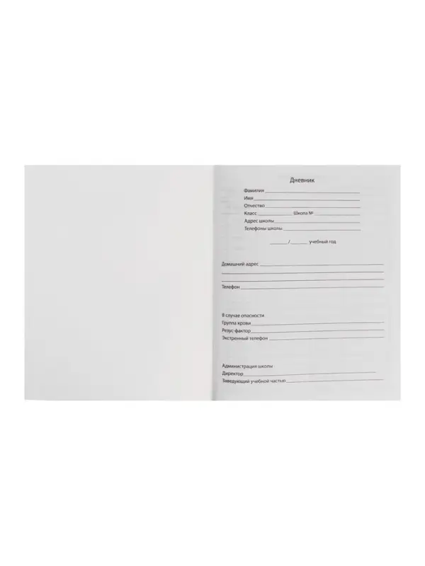 Дневник школьный для 1-11 классов, «Кеды», мягкая обложка, 40 листов Дневник школьный для 1-11 классов, «Кеды», мягкая обложка, 40 листов
