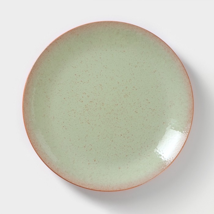 Тарелка ColorLife, d=24 см, h=2,5 см, цвет зелёный Тарелка ColorLife, d=24 см, h=2,5 см, цвет зелёный