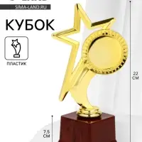 Наградная фигура под нанесение &laquo;Звезда&raquo;, подставка пластик