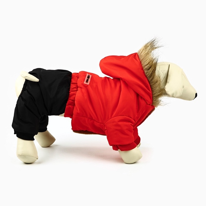 Одежда для собак. Комбинезон зимний «Тёплая зима», красно-чёрный, размер S Одежда для собак. Комбинезон зимний «Тёплая зима», красно-чёрный, размер S