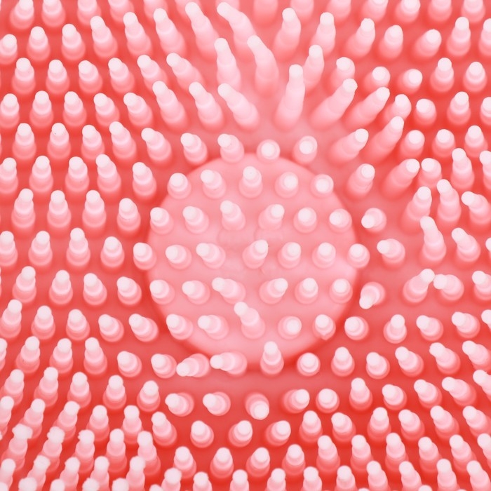 Щётка для мытья и массажа животных, с емкостью для шампуня, розовая Щётка для мытья и массажа животных, с емкостью для шампуня, розовая