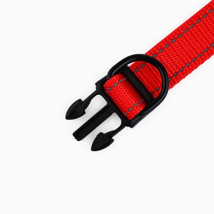 Ошейник из нейлона с фастексом 2,5 см, ОШ 31-48 см, красный Ошейник из нейлона с фастексом 2,5 см, ОШ 31-48 см, красный