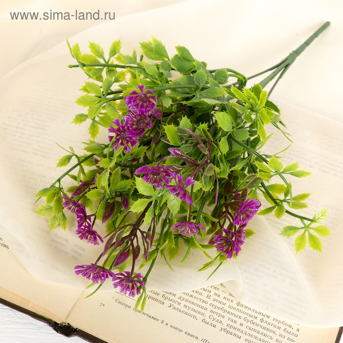 Букет Букет "Алиссум с остролистом" 29 см, микс