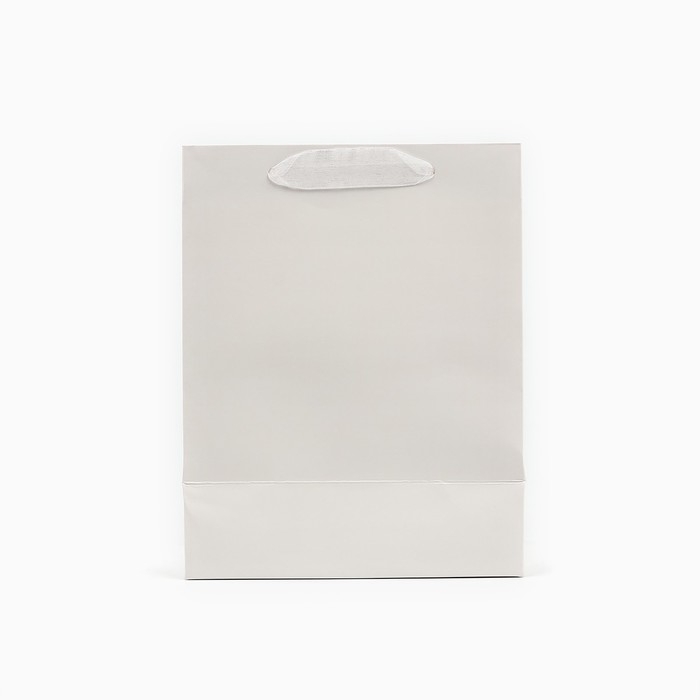 Пакет ламинированный вертикальный «С днём рождения», MS 18 х 23 х 10 см Пакет ламинированный вертикальный «С днём рождения», MS 18 х 23 х 10 см